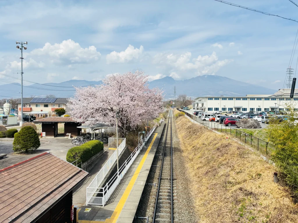日本の地方駅周辺の春景色。満開の桜の木が線路沿いに咲き誇り、背景には山々が見える。駅舎、電柱、駐車場などの日常的な風景が広がる鉄道沿線の風景写真。